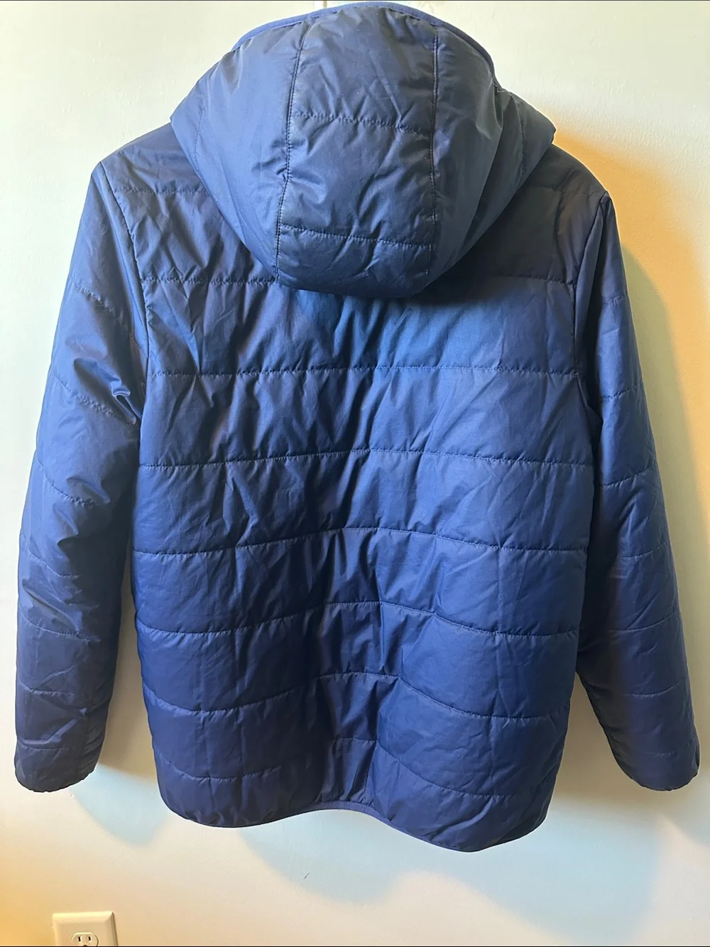 PATAGONIA Hooded Kids Puffer with Fleece Lining